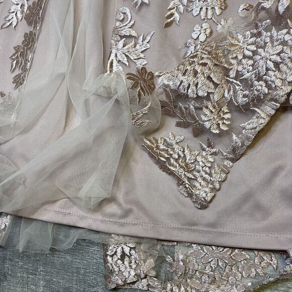 Brianna Women's Plus Size Pink Floral Embroidered Cap Sleeved Gown with Mesh - Picture 11 of 12